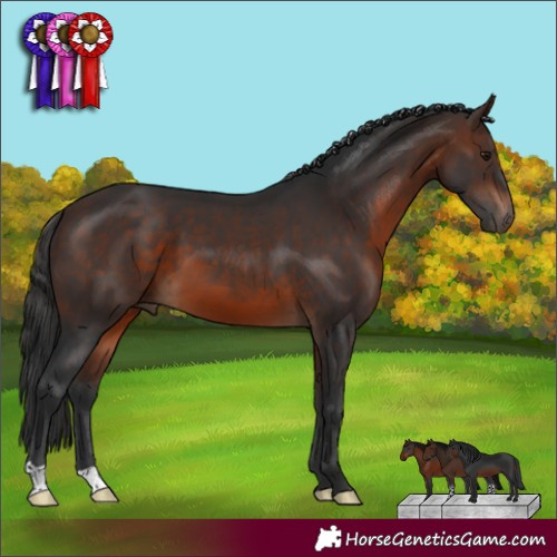Horse Color:Brown 