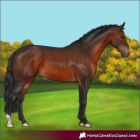Horse Color:Brown 
