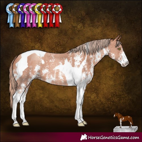 Horse Color:Gold Champagne Sabino Tobiano 