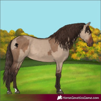 Horse Color:Liver Red Dun  and Liver Red Dun 