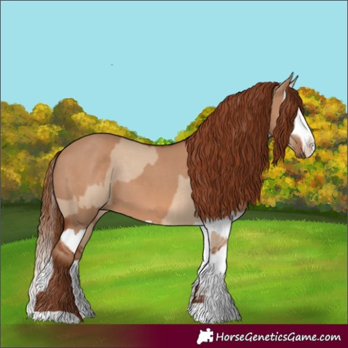 Horse Color:Red Dun and Red Dun Splash