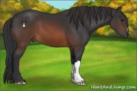 Horse Color:Brown 