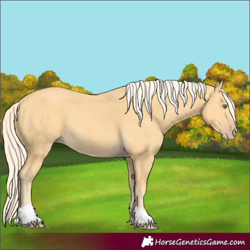 Horse Color:Gold Cream Champagne 