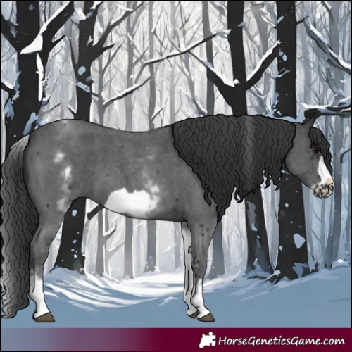 Horse Color:White Spotted Black Sabino Frame 