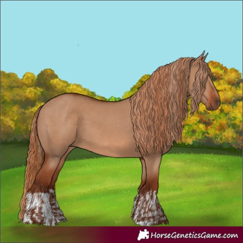 Horse Color:Red Dun  and Red Dun 