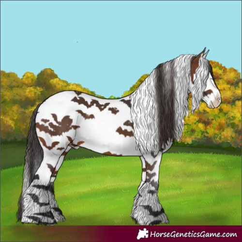 Horse Color:Brown Splash Tobiano 