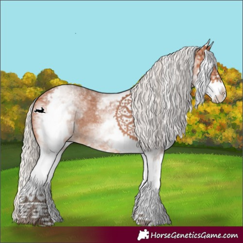 Horse Color:White Spotted Silver Bay 