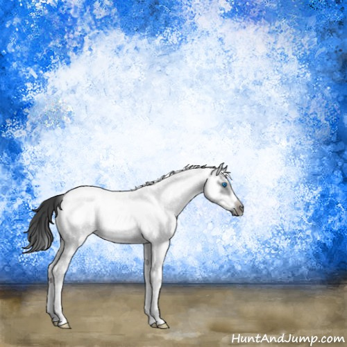 Horse Color:White Spotted Black Splash Frame 