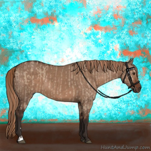 Horse Color:Liver Red Dun  and Liver Red Dun 