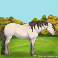Horse Color:Amber Champagne Dun 