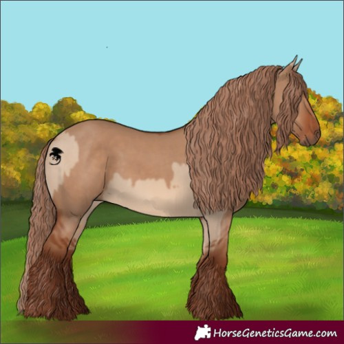 Horse Color:Red Dun and Red Dun