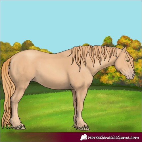 Horse Color:Gold Champagne 