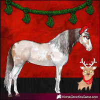 Horse Color:White Spotted Chocolate Brown Dun Splash  and White Spotted Chocolate Bay Dun Splash 