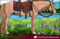 Horse Color:Gold Champagne 