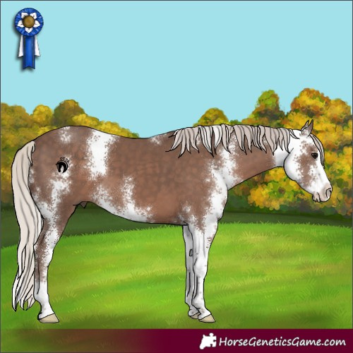 Horse Color:Silver Black Sabino 