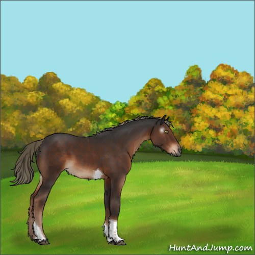 Horse Color:Gray Liver Chestnut Mushroom Tobiano 