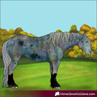 Horse Color:ERROR: UNKNOWN ANOMALY