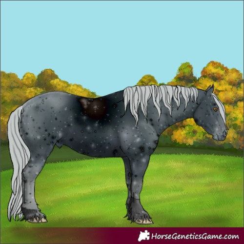 Horse Color:ERROR: UNKNOWN ANOMALY