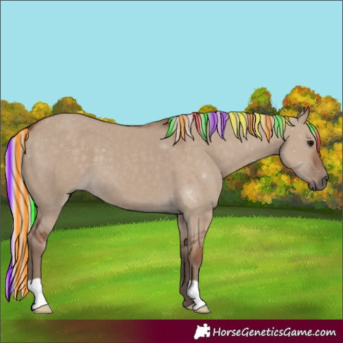 Horse Color:Painted Silver Grullo 