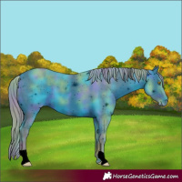 Horse Color:ERROR: UNKNOWN ANOMALY