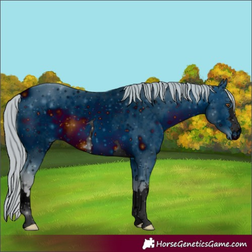 Horse Color:ERROR: UNKNOWN ANOMALY