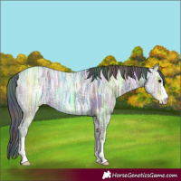 Horse Color:Nacre Grullo Ice 