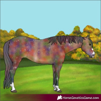 Horse Color:Nacre Brown 