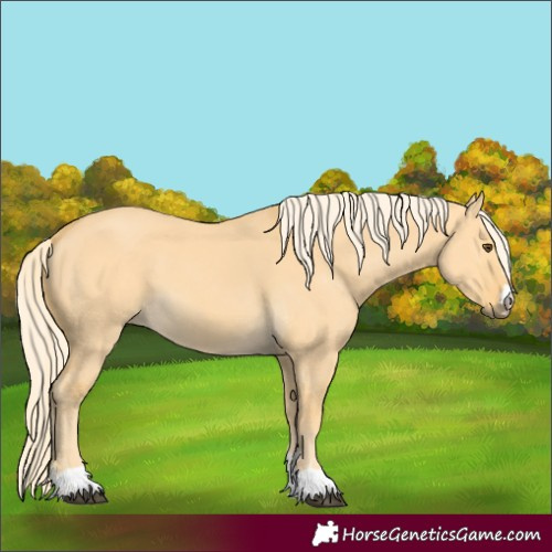 Horse Color:Palomino Dun 
