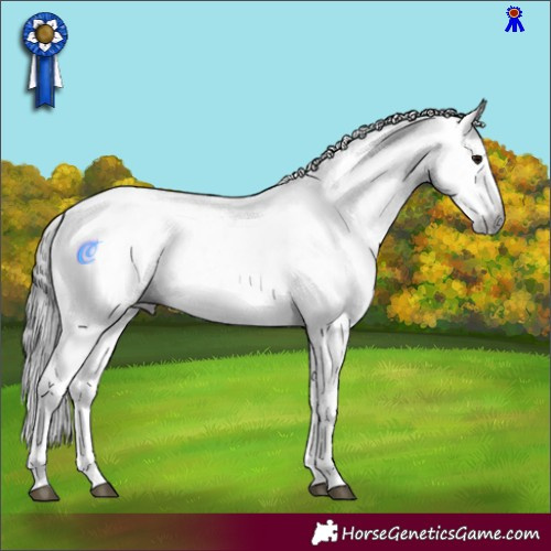 Horse Color:Gray Brown Sabino 