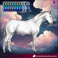 Horse Color:Gray Brown Sabino 