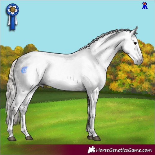 Horse Color:Gray Silver Black Sabino