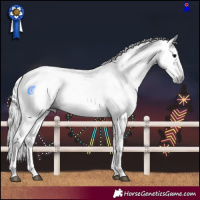 Horse Color:Gray Silver Black Sabino 