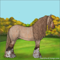 Horse Color:Red Dun  and Liver Red Dun 