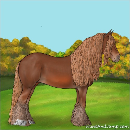 Horse Color:Unknown 