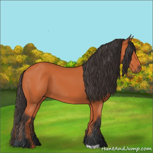 Horse Color:Unknown 