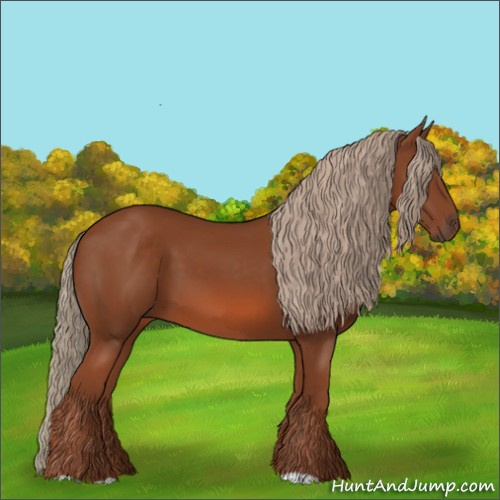 Horse Color:Unknown 