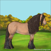 Horse Color:Unknown 