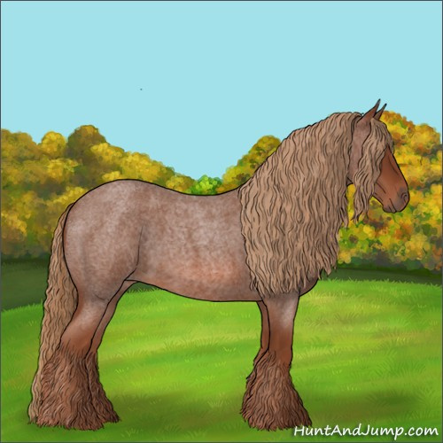 Horse Color:Unknown 