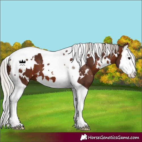 Horse Color:White Spotted Silver Brown Splash Tobiano