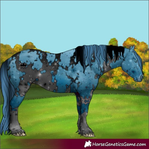 Horse Color:ERROR: UNKNOWN ANOMALY
