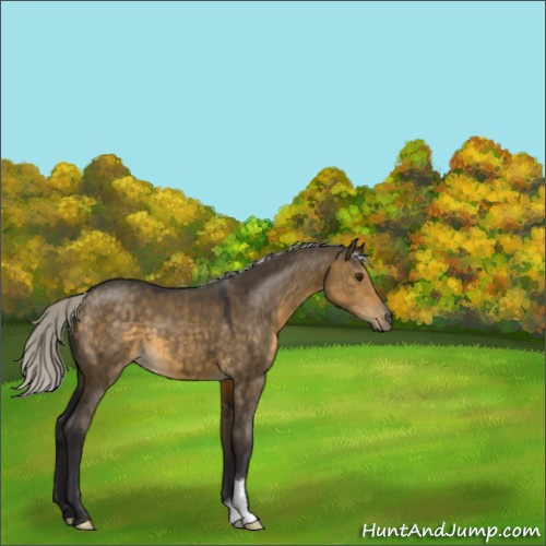 Horse Color:Silver Buckskin Dun 