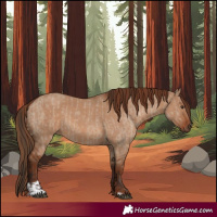 Horse Color:Liver Red Dun and Red Dun