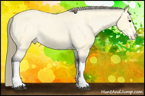 Horse Color:Buckskin Varnish