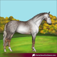 Horse Color:Gray Chocolate Palomino 