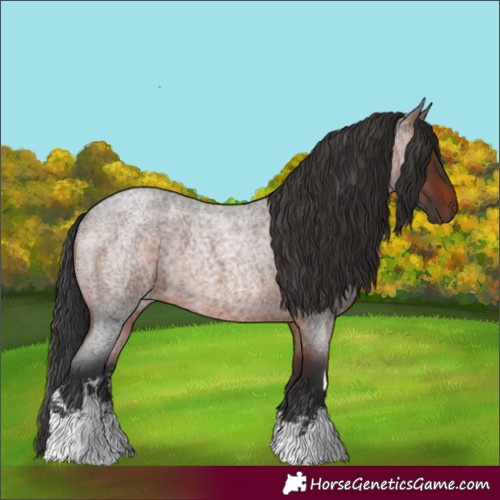 Horse Color:White Spotted Brown Roan