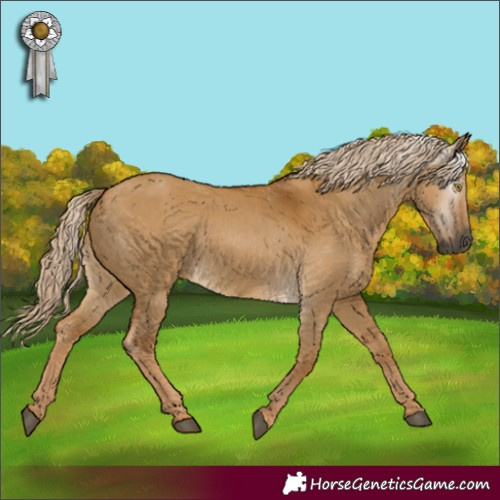 Horse Color:Gray Palomino Dun
