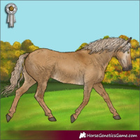 Horse Color:Gray Palomino Dun 