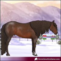 Horse Color:Liver Chestnut 