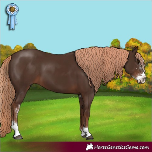 Horse Color:Liver Chestnut Sabino 