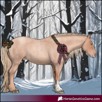 Horse Color:Gold Champagne Roan Sabino 